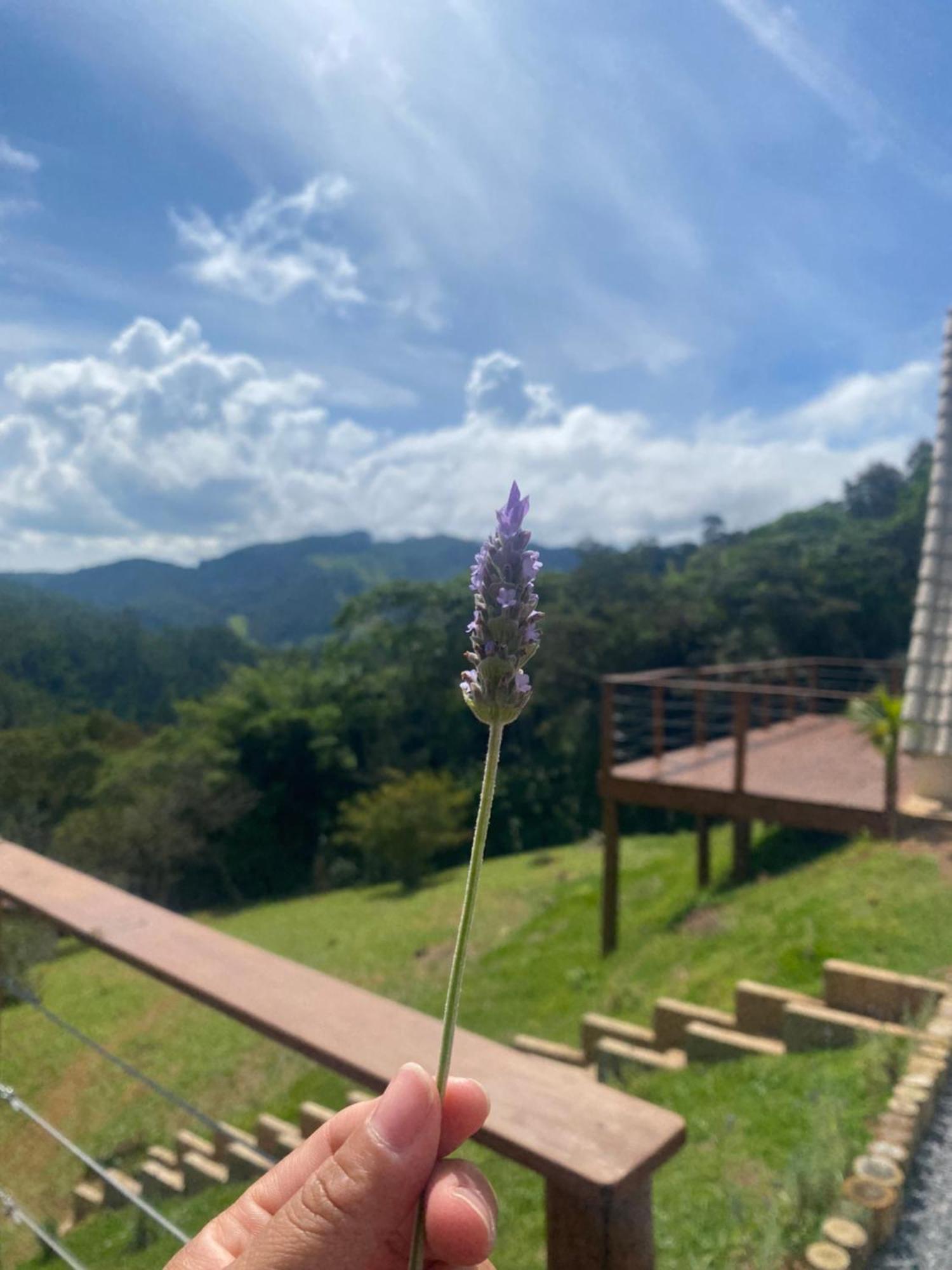 Chales Fazenda Floresta Das Araucarias 쿠냐 외부 사진
