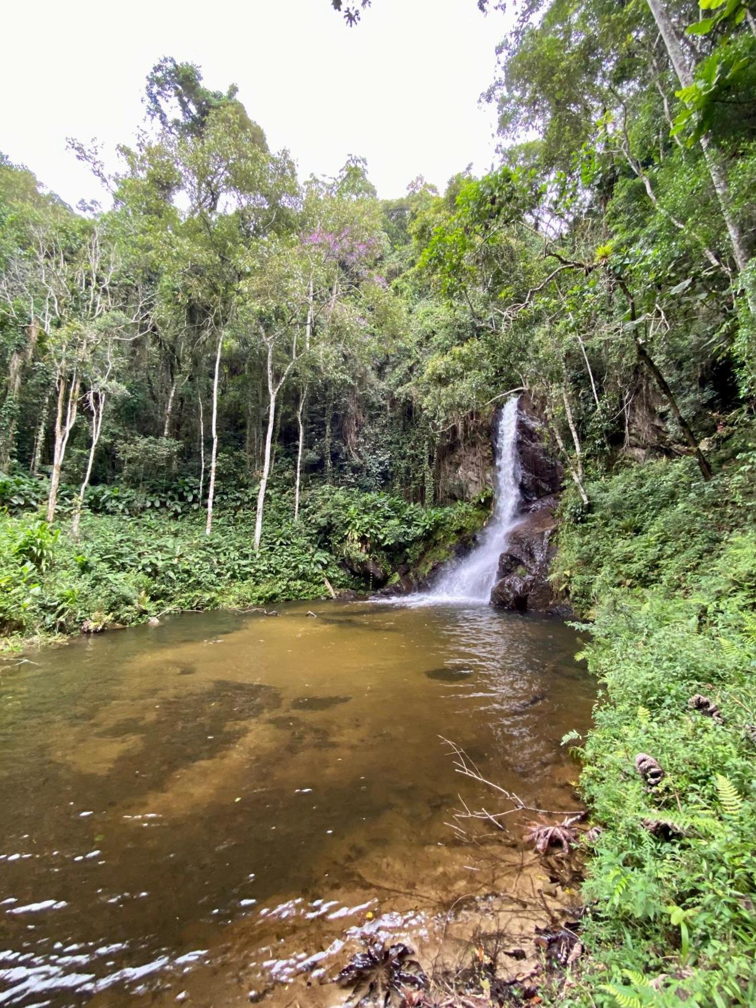 Chales Fazenda Floresta Das Araucarias 쿠냐 외부 사진