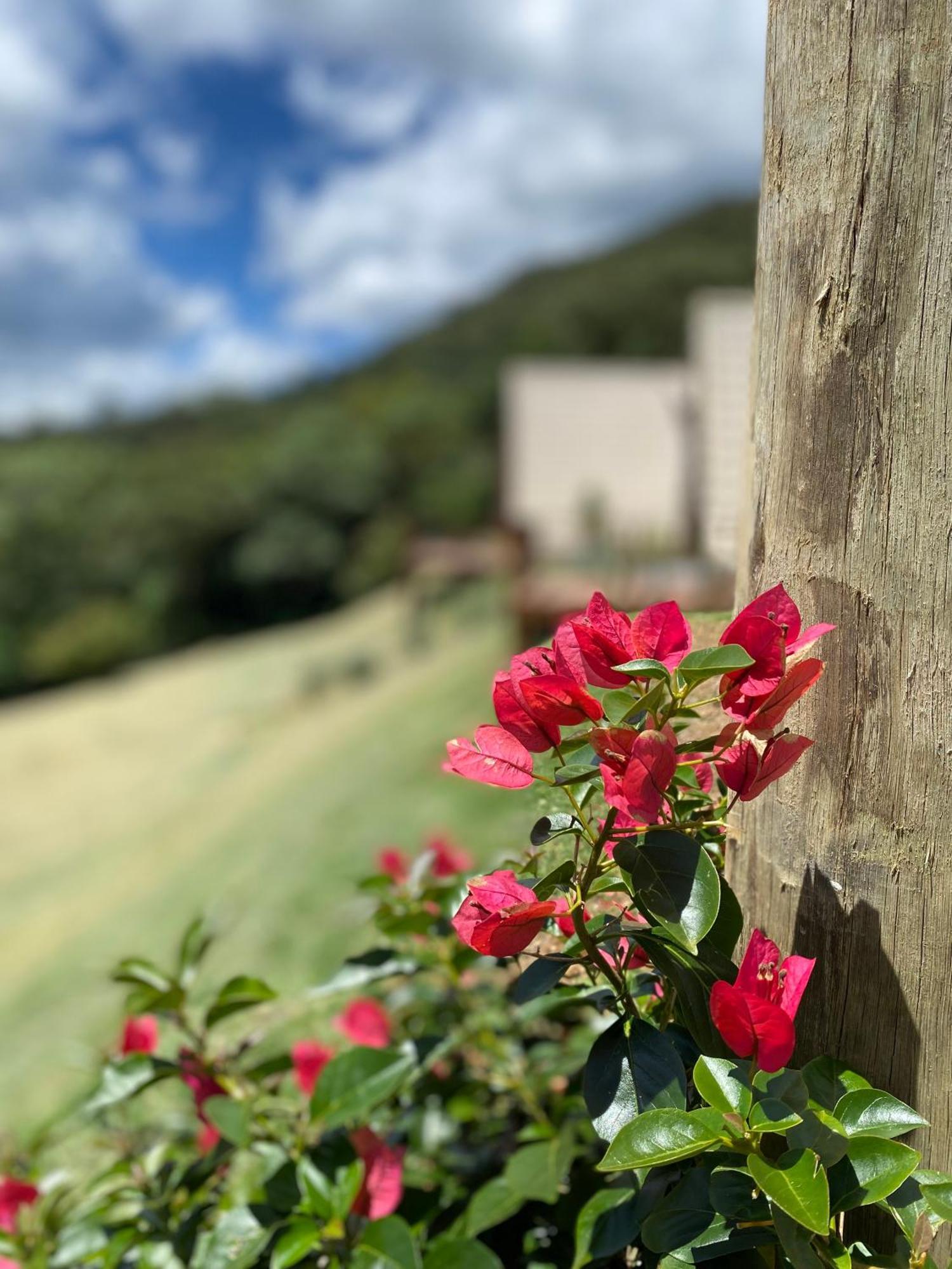Chales Fazenda Floresta Das Araucarias 쿠냐 외부 사진