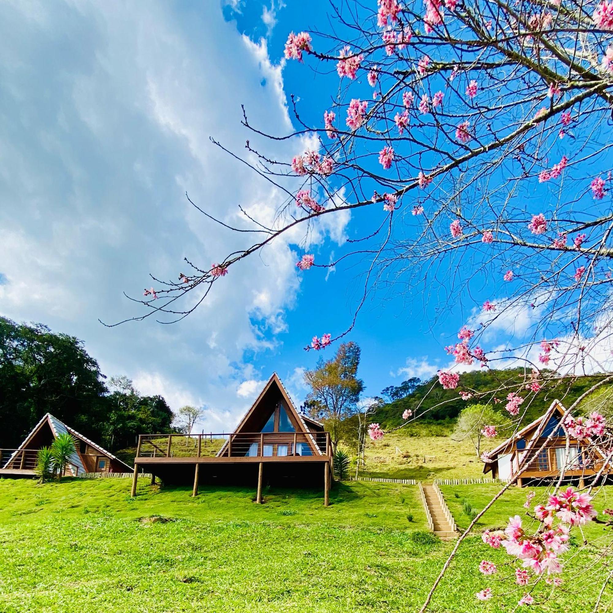 Chales Fazenda Floresta Das Araucarias 쿠냐 외부 사진