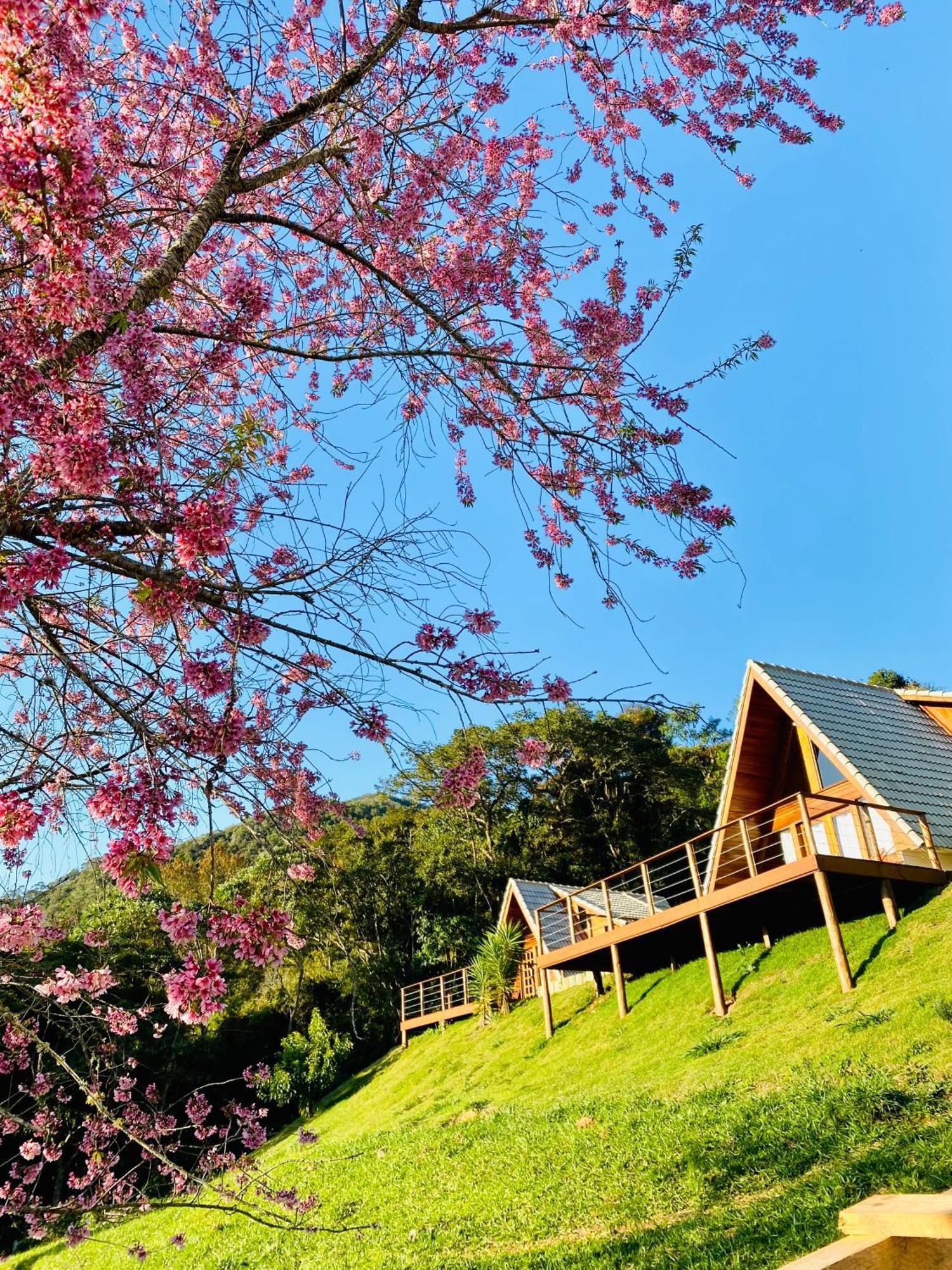 Chales Fazenda Floresta Das Araucarias 쿠냐 외부 사진