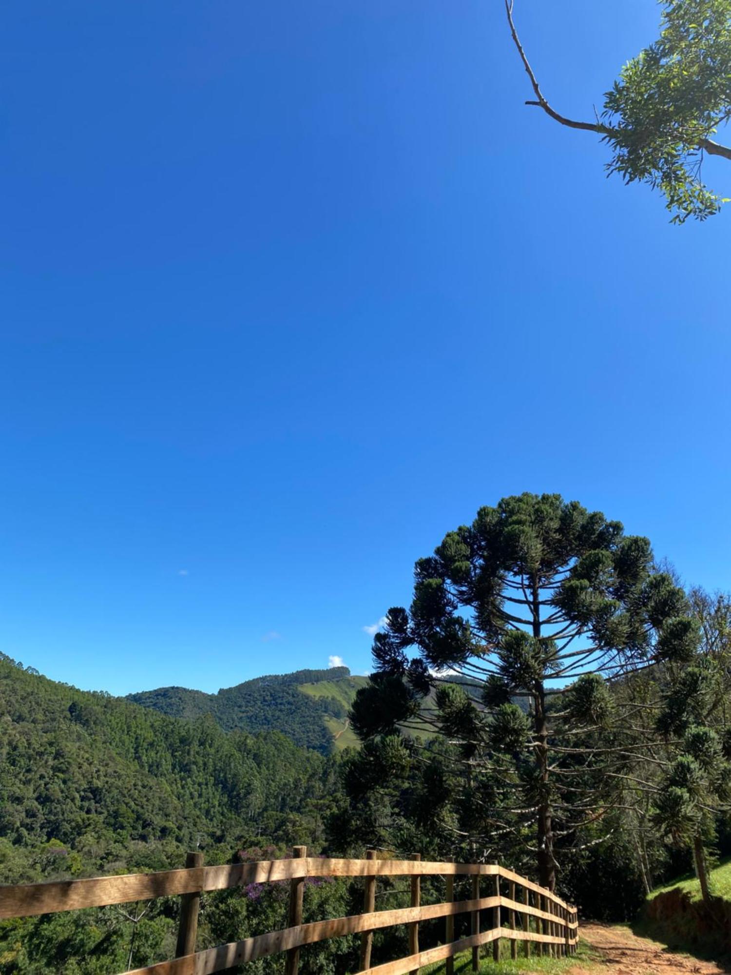 Chales Fazenda Floresta Das Araucarias 쿠냐 외부 사진